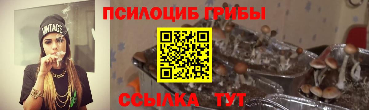 наркота  Галлюциногенные грибы мухоморы  Вход с VPN  Псилоцибиновые грибы Psilocybine cubensis  Валуйки 